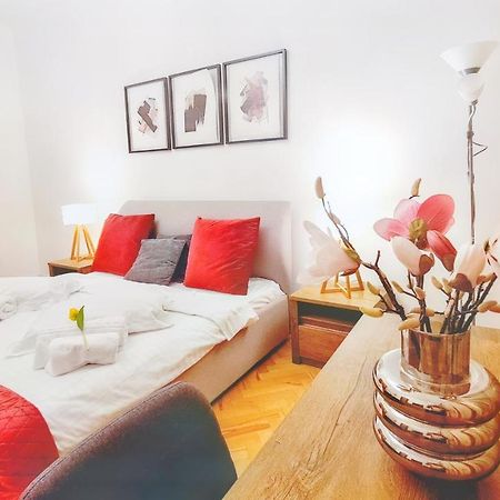 Spacious 5* Luxury In Historic Center Free Parking Cluj-Napoca Eksteriør billede