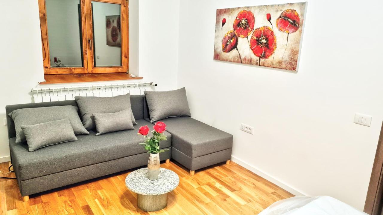 Spacious 5* Luxury In Historic Center Free Parking Cluj-Napoca Eksteriør billede
